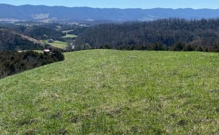 Pictures of Land, Multifamily property located at Rt 770, Cedar Bluff, VA 24609 for sales - image #1