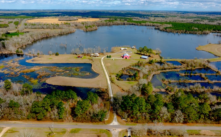 Pictures of Land property located at 2625 Hartford Lake Rd, Hartford, AL 36344 for sales - image #1