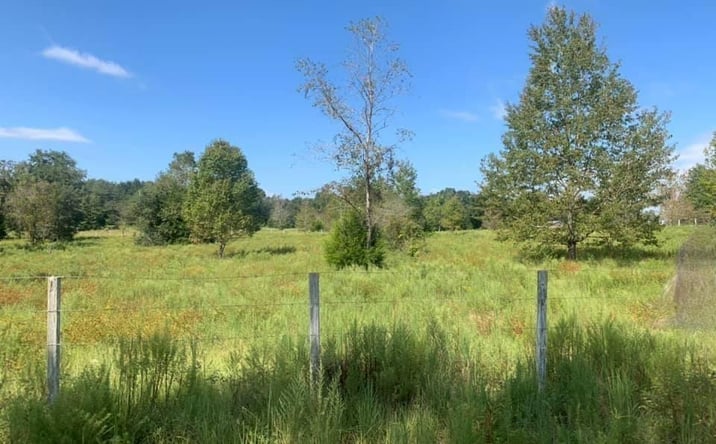Pictures of Land property located at 9790 NW 9th Ct, Branford, FL 32008 for sales - image #1