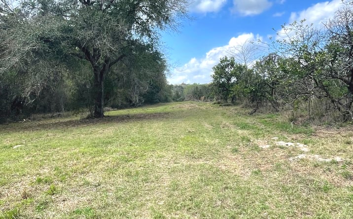 Pictures of Land property located at State Road 42, Weirsdale, FL 32195 for sales - image #1