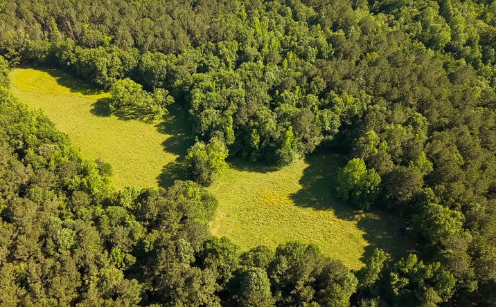 Pictures of Land property located at 29 Sontag-Nola Rd, Sontag, MS 39665 for sales - image #1