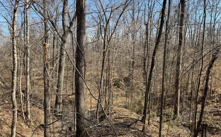 Pictures of Land property located at Kimbrough Road, Lexington, MS 39095 for sales - image #1