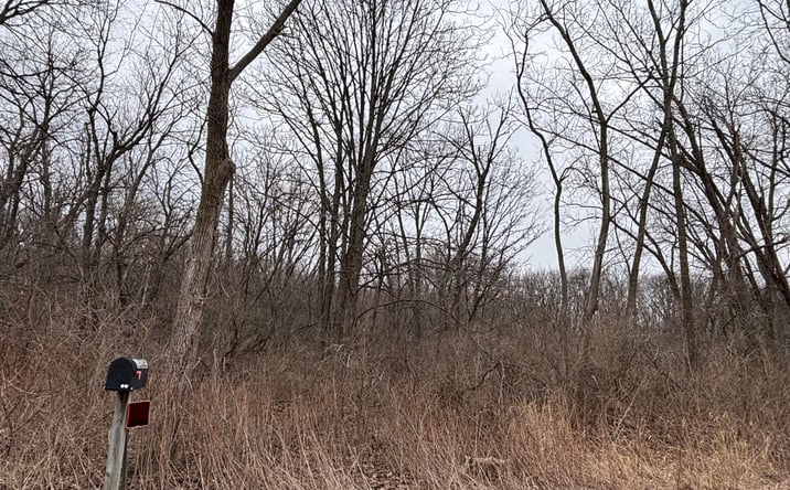 Pictures of Land property located at 11905 Mccook Street, Cedar Lake, IN 46303 for sales - image #1