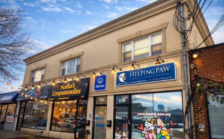 Pictures of Retail, Mixed Use property located at 220-226 East Meadow Avenue, Hempstead, NY 11554 for sales - image #1