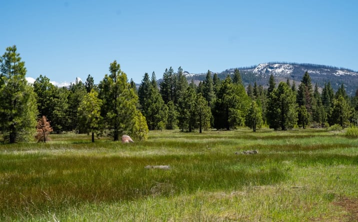 Pictures of Land property located at Delwood St, Westwood, CA 96137 for sales - image #1
