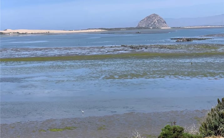 Pictures of Land property located at Pasadena, Los Osos, CA 93402 for sales - image #1