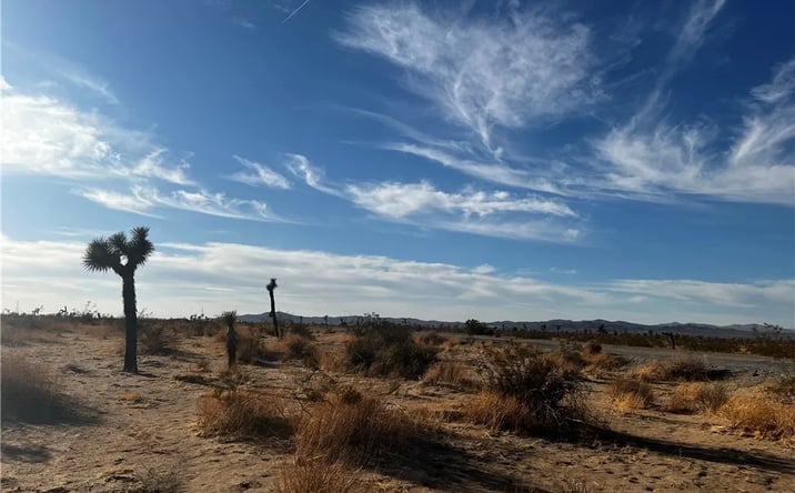 Pictures of Land property located at El Mirage, Adelanto, CA 92301 for sales - image #1