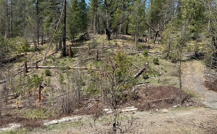 Pictures of Land property located at 6493 Greeley Hill, Coulterville, CA 95311 for sales - image #1