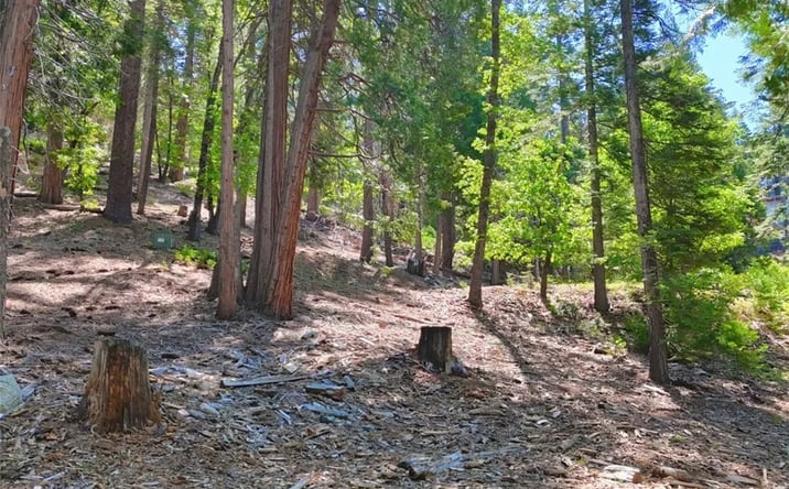 Pictures of Land property located at 7220 Yosemite Park, Yosemite, CA 95389 for sales - image #1