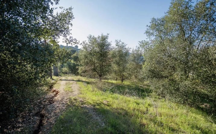 Pictures of Land property located at Mcnally, Valley Center, CA 92082 for sales - image #1