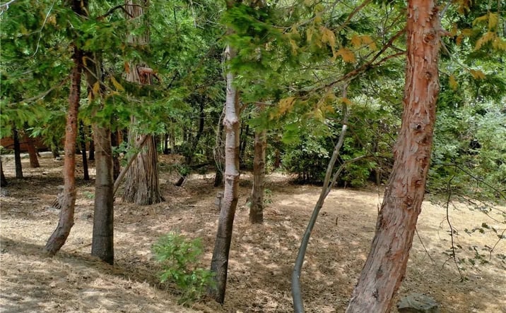 Pictures of Land property located at 27513 Meadow Bay, Lake Arrowhead, CA 92352 for sales - image #1