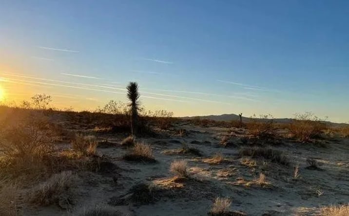 Pictures of Land property located at Beaver, Adelanto, CA 92301 for sales - image #1