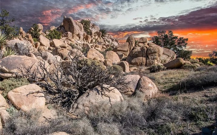 Pictures of Land property located at 6274 Omega, Yucca Valley, CA 92284 for sales - image #1