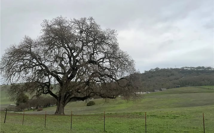 Pictures of Land property located at 21 Interlake, Bradley, CA 93426 for sales - image #1