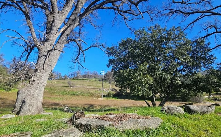 Pictures of Land property located at 59366 Road 225, North Fork, CA 93643 for sales - image #1