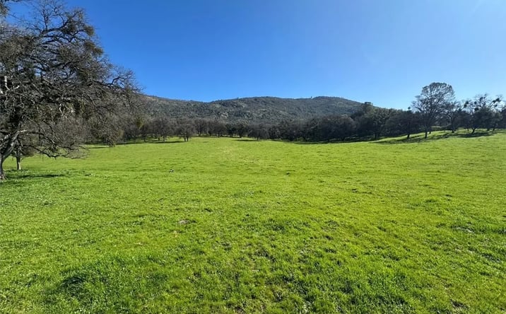 Pictures of Land property located at 471 Hwy 49n, Mariposa, CA 95338 for sales - image #1