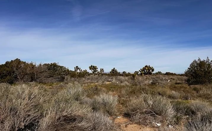 Pictures of Land property located at Phelan Apn# 3065161030000, Phelan, CA 92371 for sales - image #1