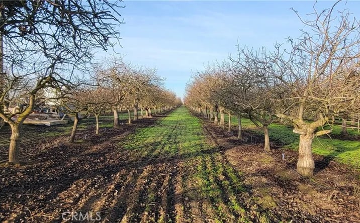 Pictures of Land property located at Santa Fe, Chowchilla, CA 93610 for sales - image #1