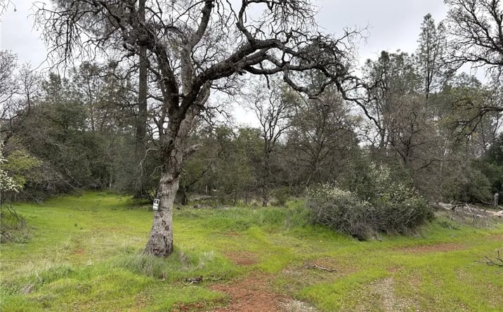 Pictures of Land property located at Highlands, Oroville, CA 95966 for sales - image #1