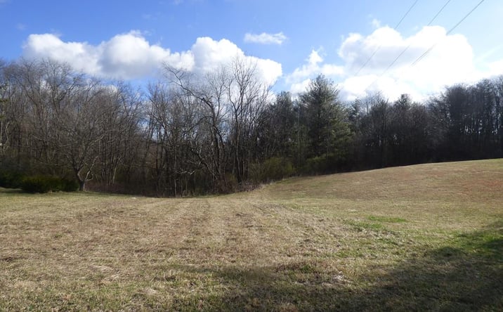 Pictures of Land, Multifamily property located at TBD Chinquapin, Rural Retreat, VA 24368 for sales - image #1