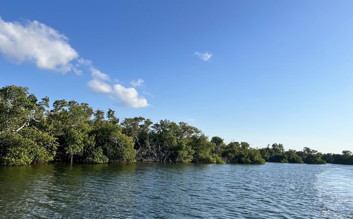 Pictures of Land property located at 4278 Pine Island Rd, Matlacha, FL 33993 for sales - image #1