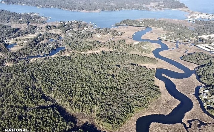 Pictures of Land property located at 0 Dog River Road, Theodore, AL 36582 for sales - image #1