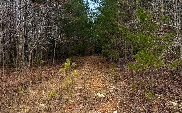 Pictures of Land property located at Old Chester Rd, Blacksburg, SC 29702 for sales - image #1