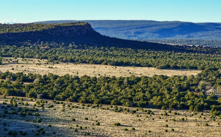 Pictures of Land property located at NM Hwy 53, Ramah, NM 87321 for sales - image #1