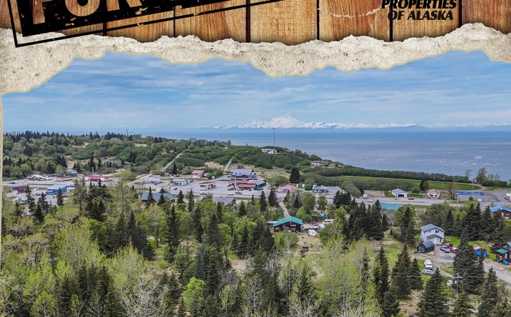 Pictures of Land property located at 66597 Bach Ave, Ninilchik, AK 99639 for sales - image #1