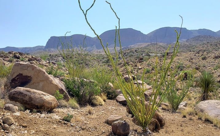 Pictures of Land property located at 184 Black Hill Rd, Terlingua, TX 79852 for sales - image #1