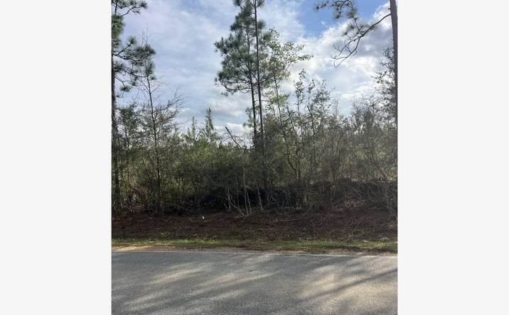 Pictures of Land property located at W Wortham Rd, Sauicer, MS 39574 for sales - image #1