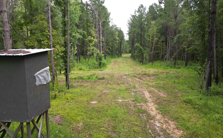 Pictures of Land property located at Tbd Seibert Rd, Roseland, LA 70456 for sales - image #1