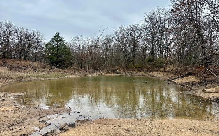 Pictures of Land property located at County Road 1600, Wynnewood, OK 73098 for sales - image #1