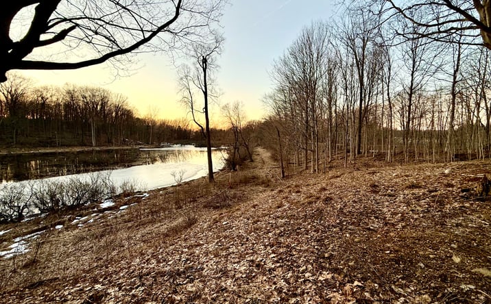 Pictures of Land, Special Purpose property located at 15326 MADRON LAKE Road, Buchanan, MI 49107 for sales - image #1