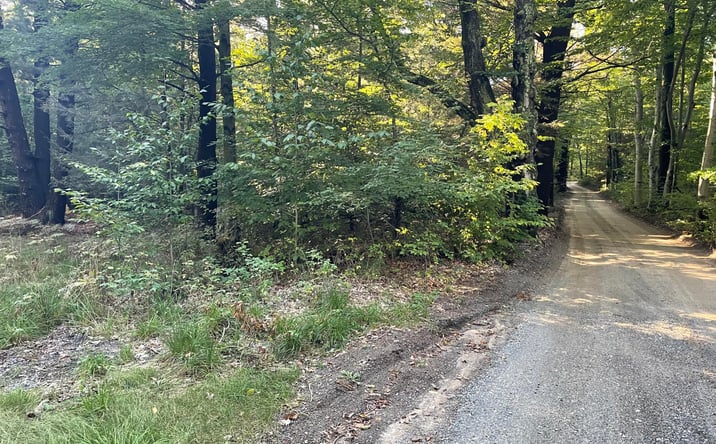 Pictures of Land property located at 10445 W Woodrow Road, Shelby, MI 49455 for sales - image #1