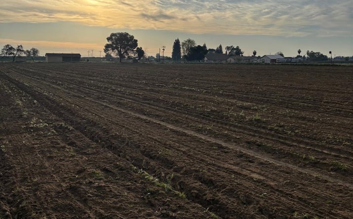 Pictures of Land property located at 9449 S Mccall Avenue, Selma, CA 93662 for sales - image #1
