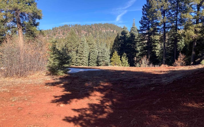 Pictures of Land property located at 9 Red Rock, Chama, NM 87520 for sales - image #1