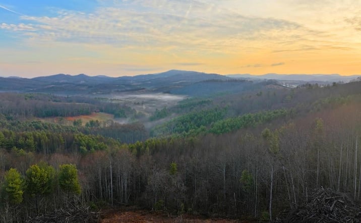 Pictures of Land, Multifamily property located at N Burnt Hill Road, Laurel Springs, NC 28644 for sales - image #1