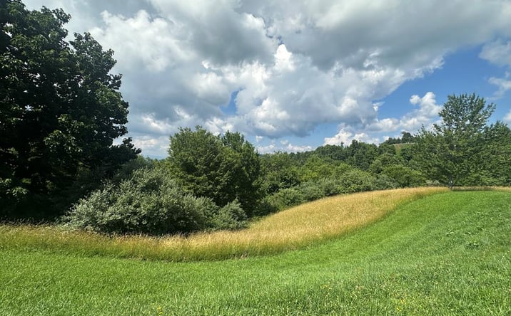 Pictures of Land, Multifamily property located at TBD York Ridge Estates, Mouth of Wilson, VA 24363 for sales - image #1