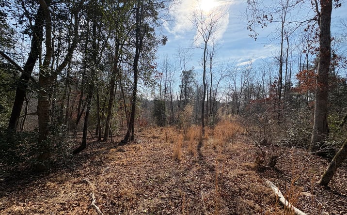 Pictures of Land property located at 120 Shamrock Cir Dr, Hudson, NC 28638 for sales - image #1