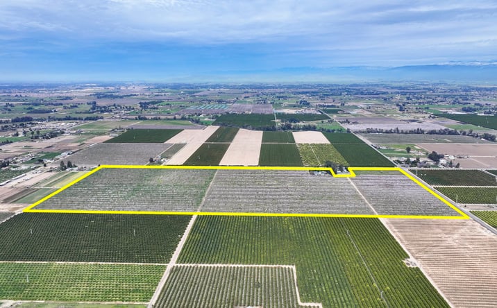 Pictures of Land property located at 10847 East Belmont Avenue, Sanger, CA 93657 for sales - image #1