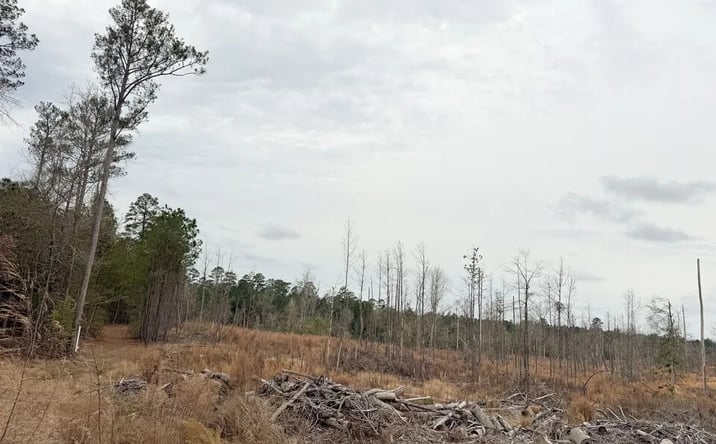 Pictures of Land property located at 00 County Road 53, Camden, AR 71701 for sales - image #1