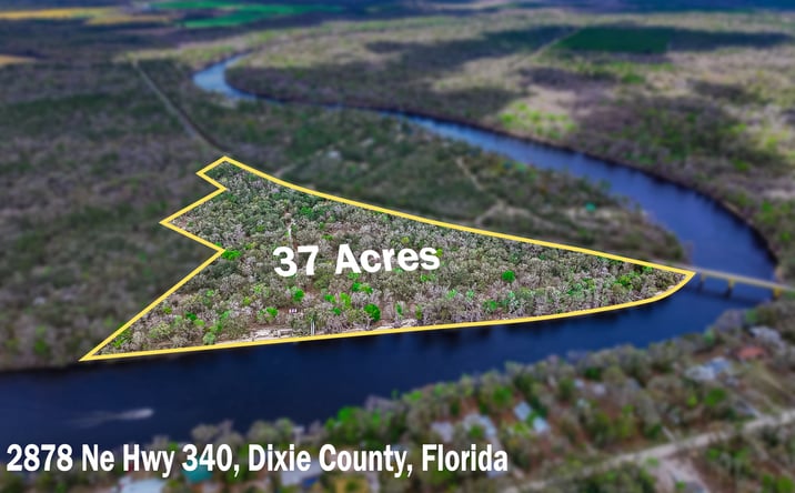 Pictures of Land property located at 2878 Co Rd 340, Branford, FL 32008 for sales - image #1