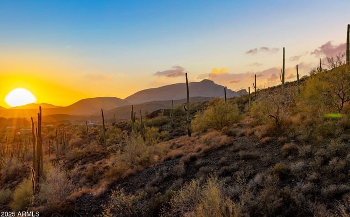 Pictures of Land property located at 42000 N Fleming Springs Rd, Cave Creek, AZ 85331 for sales - image #1