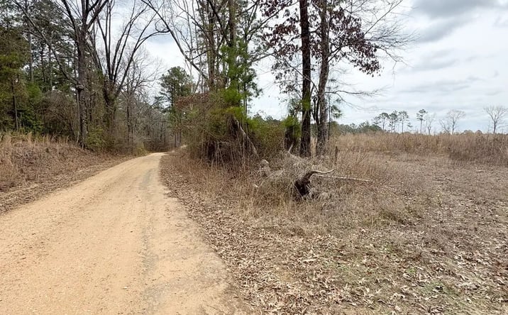 Pictures of Land property located at Ouachita Road 136, Stephens, AR 71764 for sales - image #1