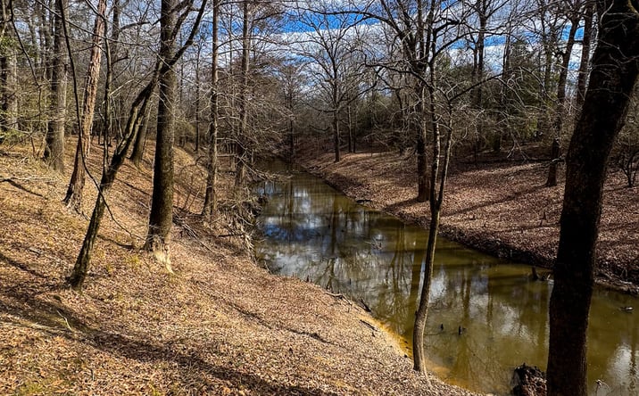 Pictures of Land property located at Two Bayou 80, Camden, AR 71701 for sales - image #1