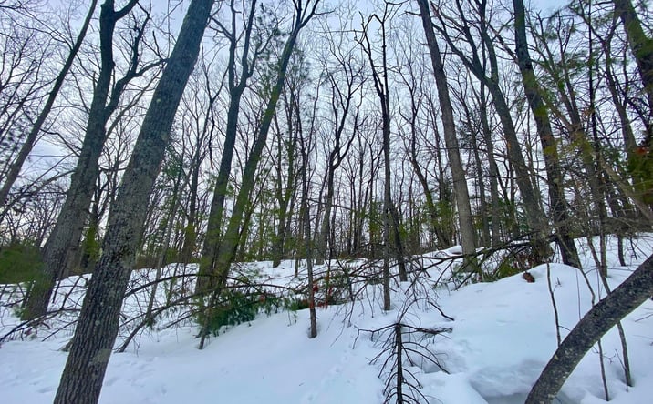 Pictures of Land property located at Fascination Dr, Frederic, MI 49733 for sales - image #1