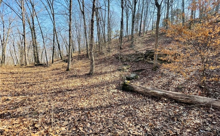 Pictures of Land property located at Cr-3091, Eureka Springs, AR 72632 for sales - image #1