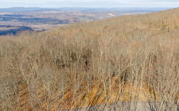 Pictures of Land property located at Lot 153 Withrow Landing, Caldwell, WV 24925 for sales - image #1