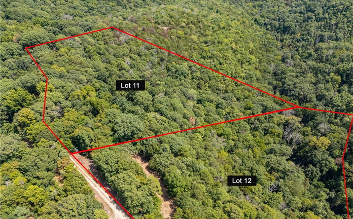 Pictures of Land property located at Cr-206, Buchanan Dam, TX 78609 for sales - image #1